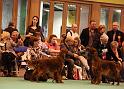 Crufts2010 2188